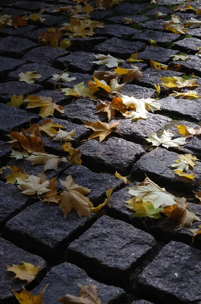 Höstens trottoaren — Stockfoto