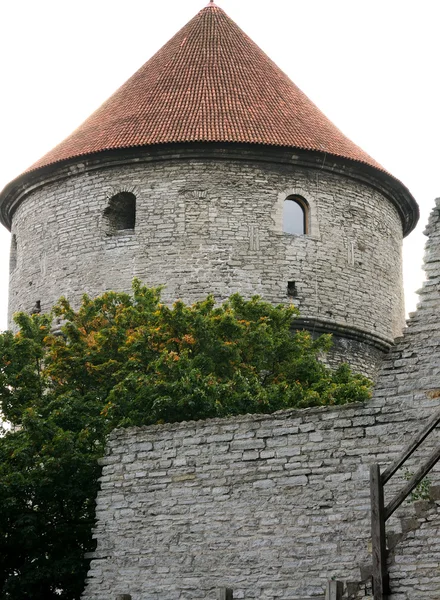 Bagian dari tembok kota Tallinn Stok Gambar Bebas Royalti