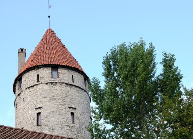 Tallinn şehir duvarının