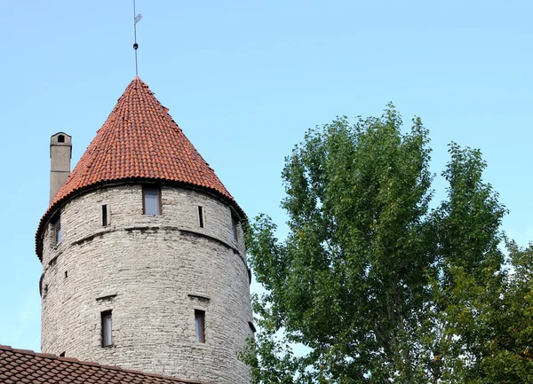 Part of the city wall of Tallinn — Stock Photo, Image