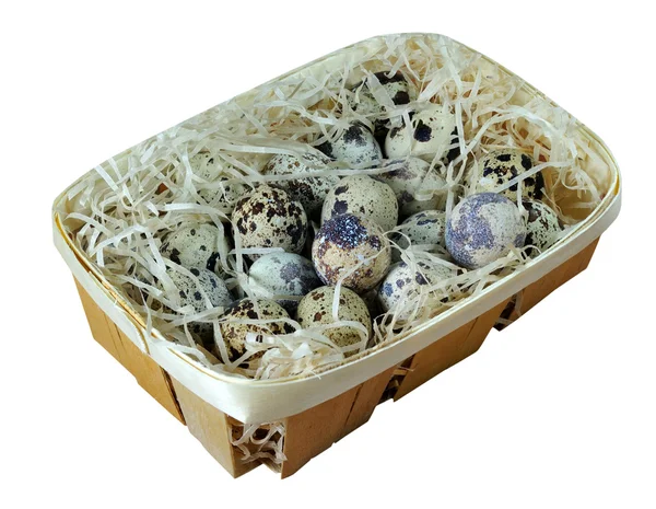 Зчеплення перепелиних яєць в кошику Стокове Зображення