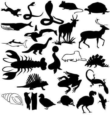 Animals clipart