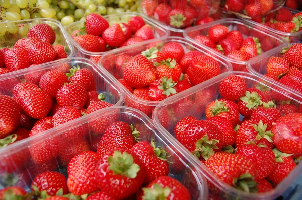 Stock image Strawberry