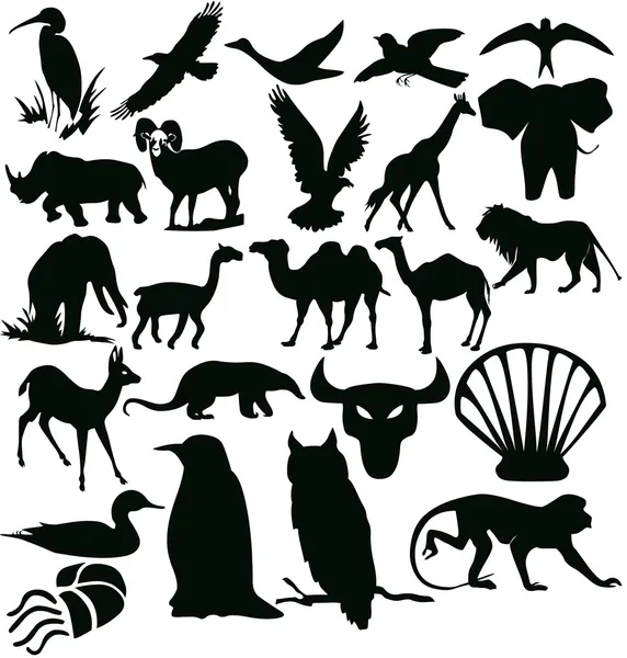 Silhouettes - animals — Stock Photo, Image