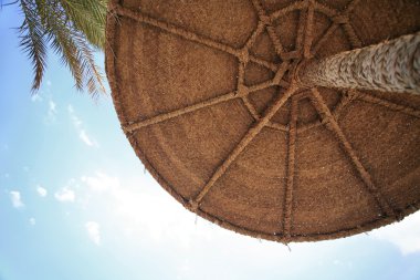 Beach Umbrella, Palm and Sky clipart