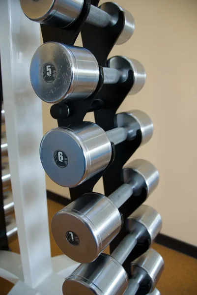 stock image A set of dumbbells of different weight