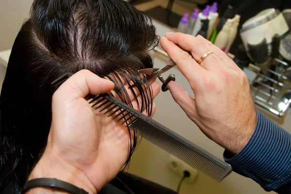 Male master of hair — Stock Photo, Image