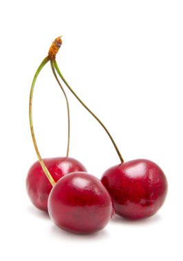 Cherries clipart