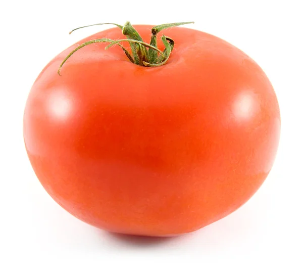 Свіжий помідор ізольовано на білому — стокове фото