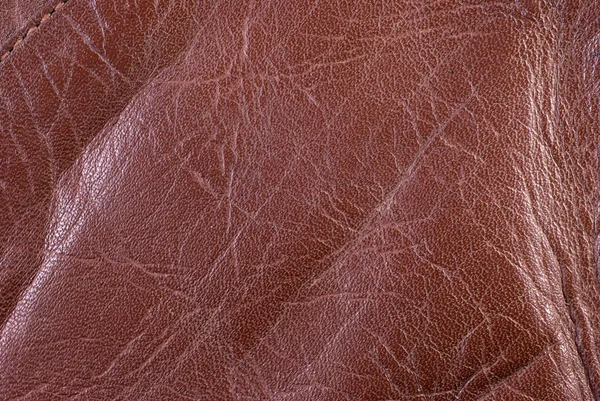 Υφή του δέρματος — Φωτογραφία Αρχείου
