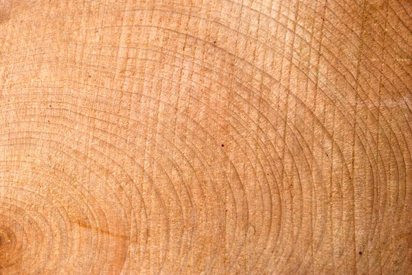 Wood texture Stock Image