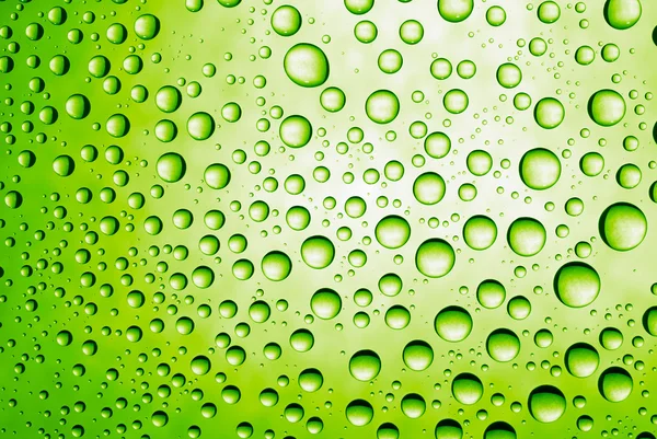 Gotas verdes — Fotografia de Stock
