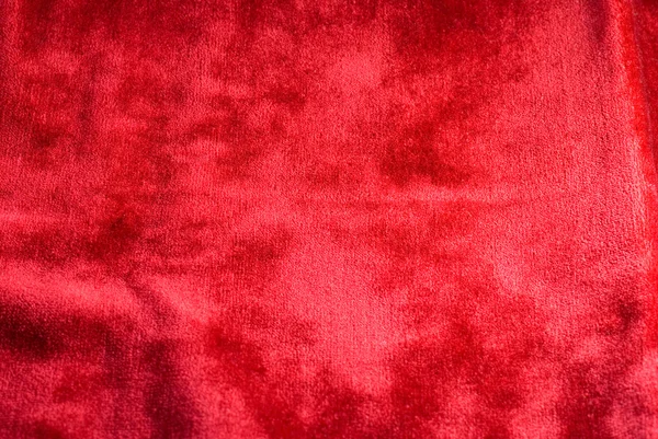 Червона оксамитова — стокове фото