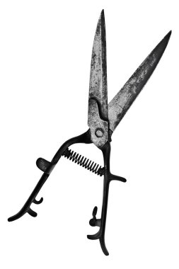 Vintage hedge shears clipart