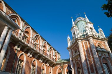 Tsaritsyno Grand Palace clipart