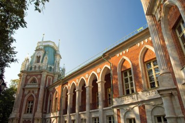 Tsaritsyno Grand Palace