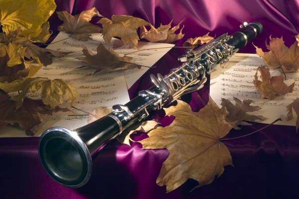 Melody of a mellow autumn