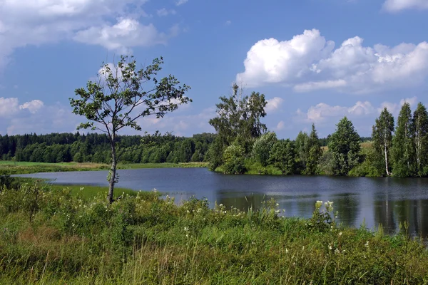 stock image Scenic River