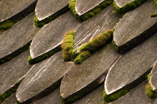Old roof — Stock Photo, Image