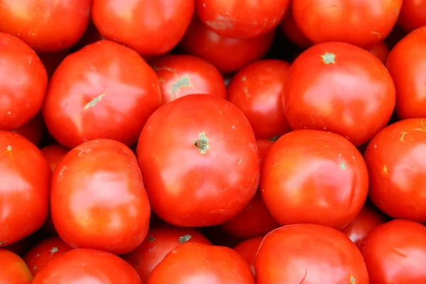 Stock image Fresh tomatoes