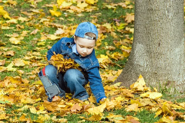 De jongen in de herfst park — Stockfoto