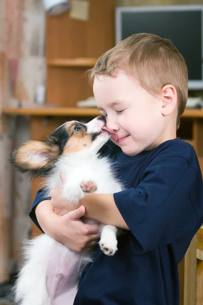 Puppy licking childs face — Stock Photo, Image