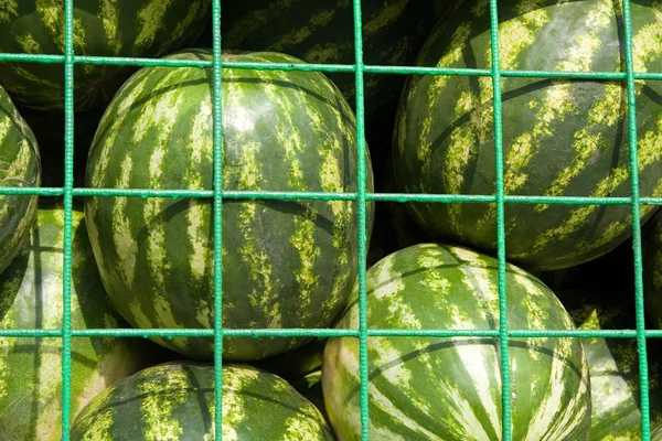 stock image Watermelons