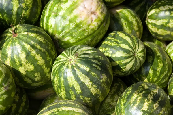 stock image Watermelons