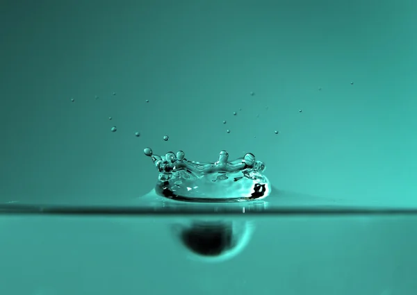 Su tacı — Stok fotoğraf