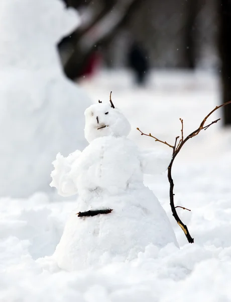 stock image Snowball