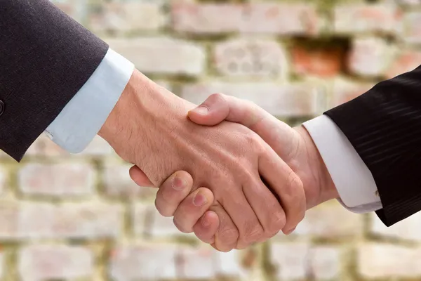 Obchodní handshake — Stock fotografie