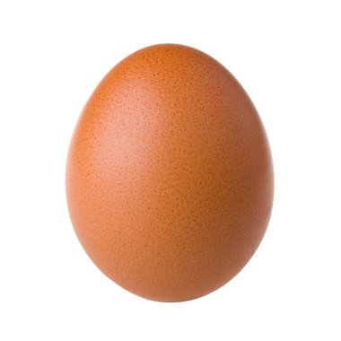 Chicken egg clipart