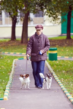 Woman with two dogs clipart