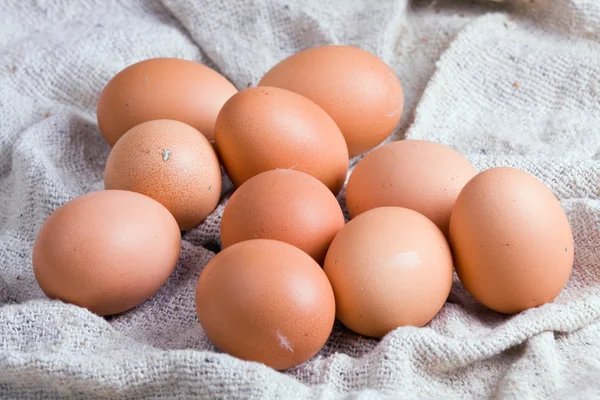 Chicken eggs on a sacking — Stock Photo, Image