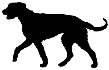 Wolfhound clipart