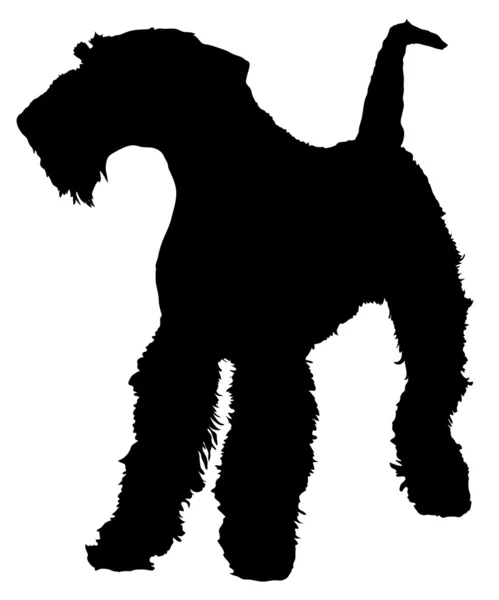 Terrier airedale — Vetor de Stock