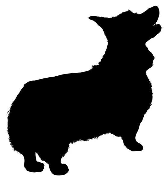Pembroke corgi gallois — Image vectorielle
