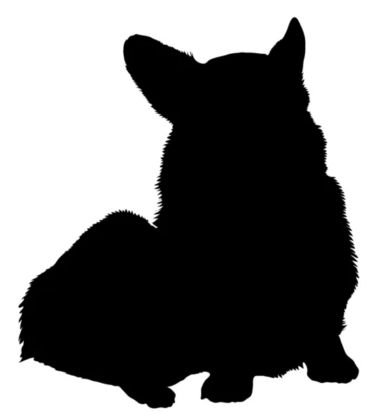 彭布罗克威尔士柯基犬图片 — 图库矢量图片