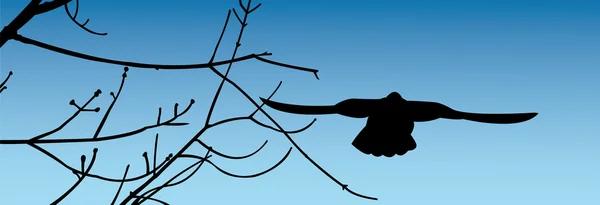 Летучая птица — стоковый вектор