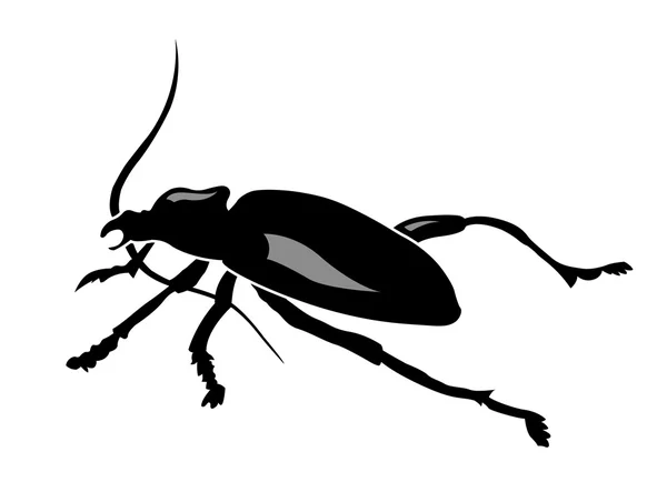 stock vector Beetle