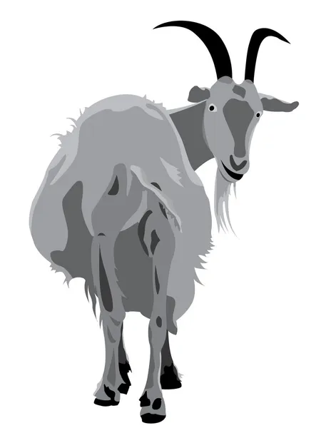 Chèvre à cornes — Image vectorielle