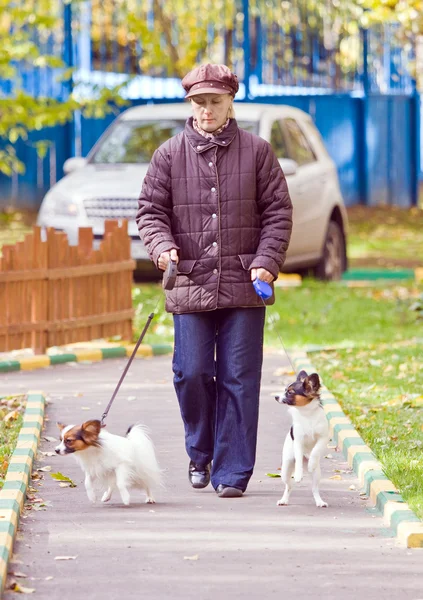 stock image Woman with two dogs