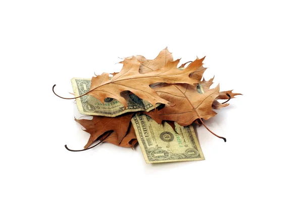 Dollars and leaves — Stock Photo, Image