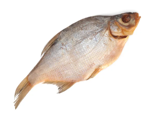 stock image Fish