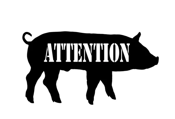 stock image Warning swine flu