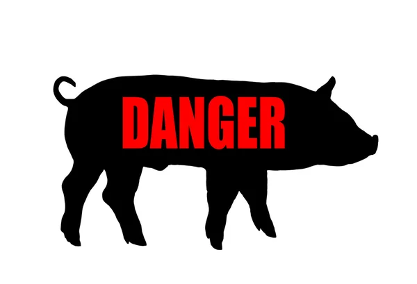 Uyarı domuz gribi — Stok fotoğraf