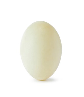 Duck egg clipart