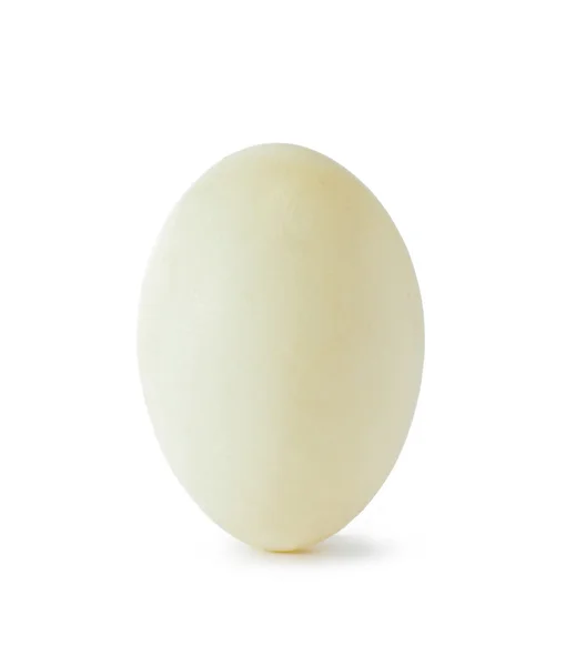 Eend ei — Stockfoto