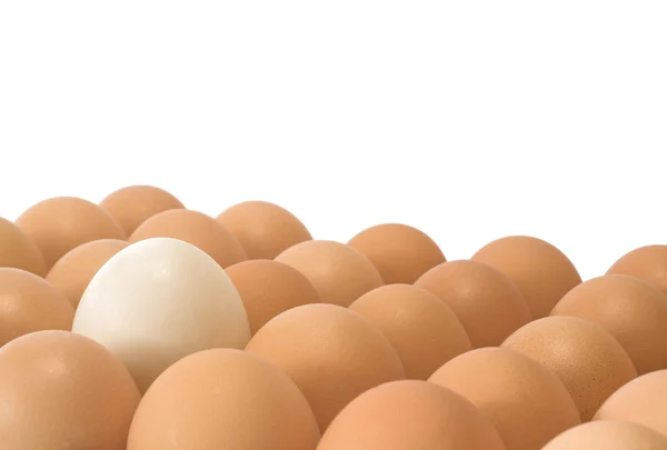 Different Egg — Stock Photo, Image