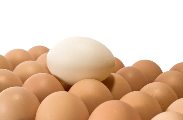 Różne jaja — Zdjęcie stockowe